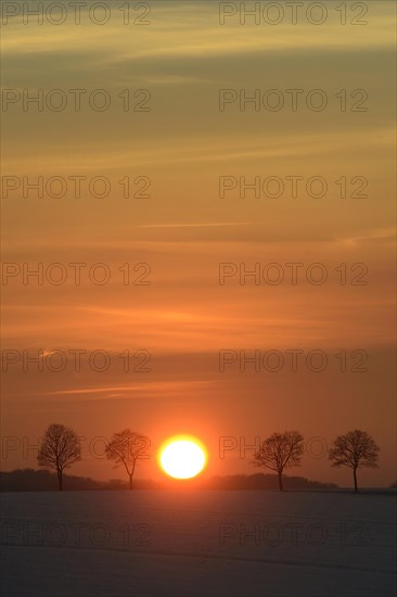 Wintry sunset
