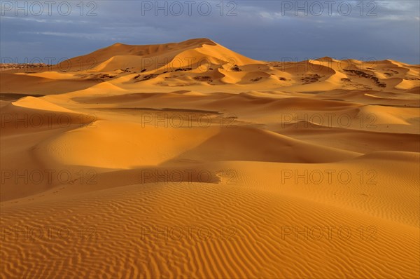 Sand dunes in evening light
