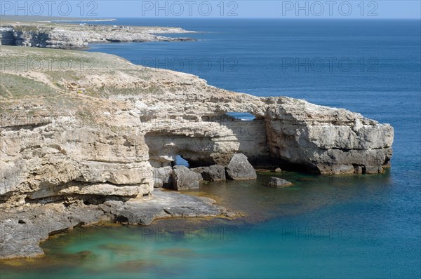Crocodile Rock