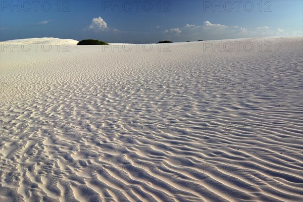 Desert