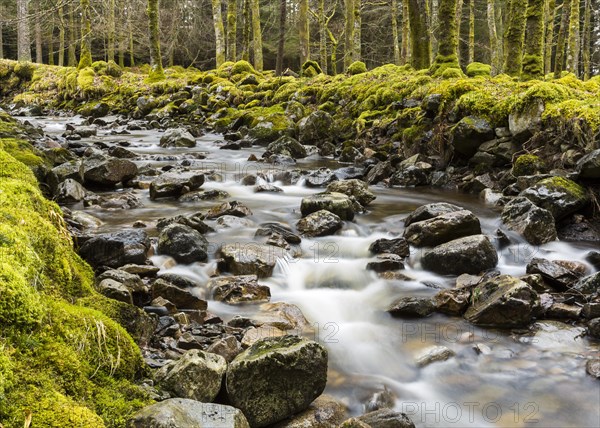 River Ossian