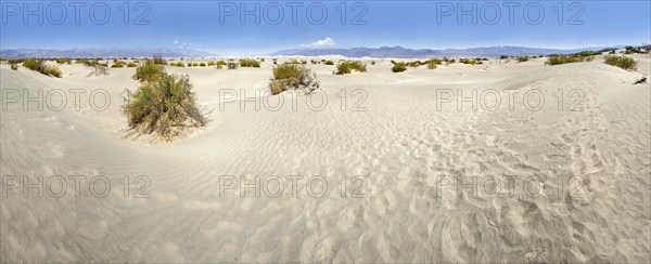 Dunes