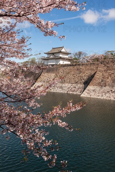 Osaka Castle with moat to the cherry blossom