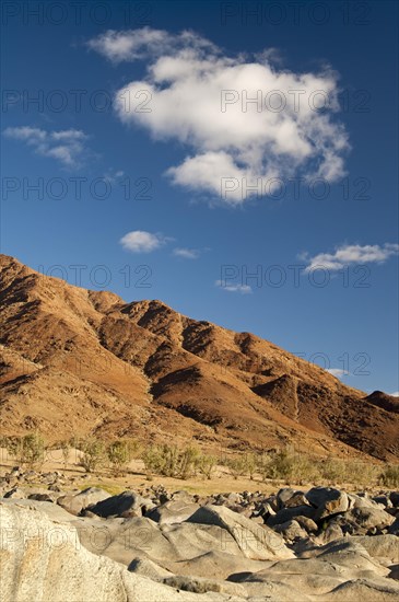 Desert landscape