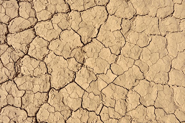 Dried out clay surface of upper Ouksem crater