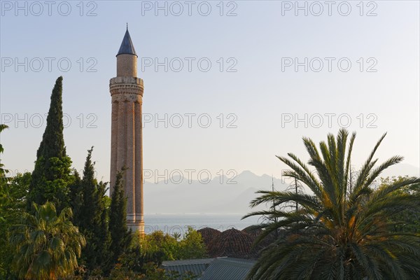 Fluted Minaret
