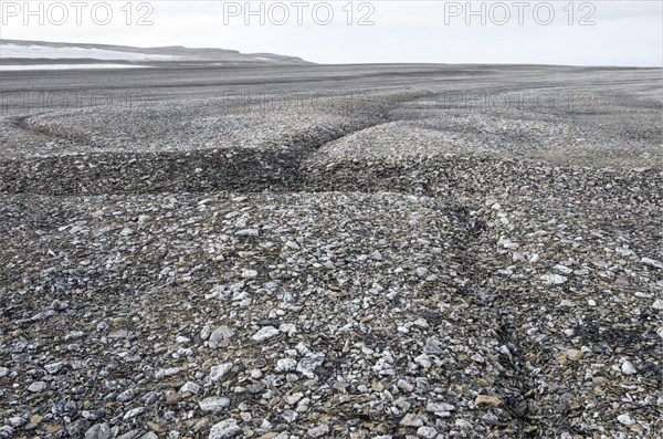 Frost cracks in the frost ground patterns in the Arctic ice desert
