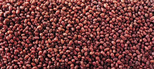 Azuki beans