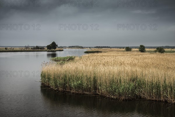 Bodden landscape