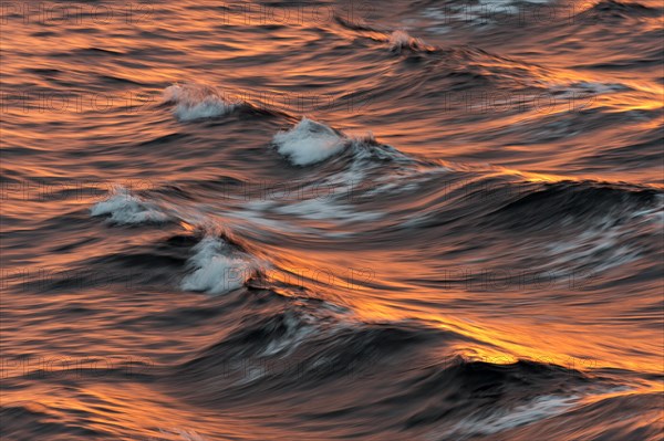 Bow waves in the evening light