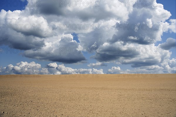 Freshly sown field with cumulus clouds