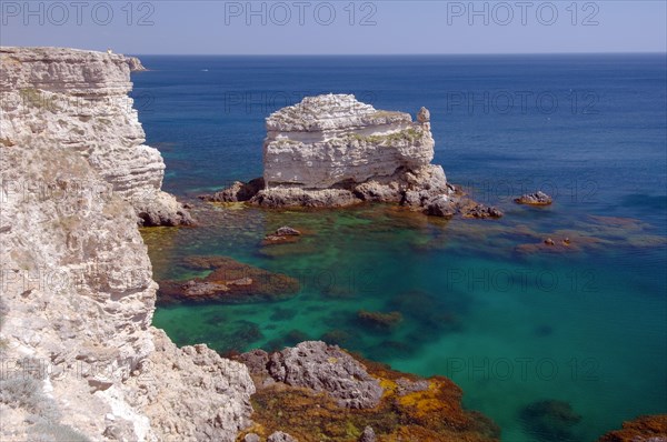 Turtle Rock