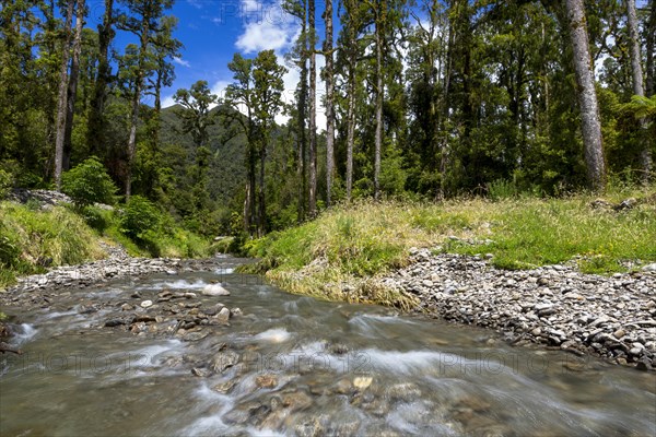The Blackwater Creek below the Douglas Range