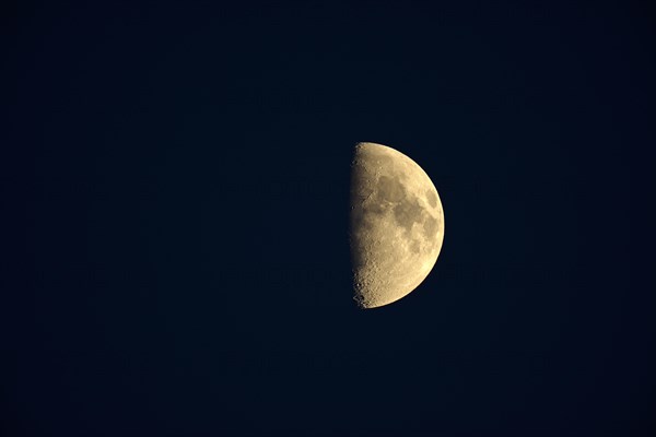 Waxing crescent moon