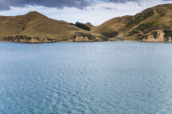 Small holiday cottages at Queen Charlotte Sound