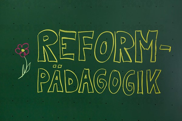 Reformpadagogik'