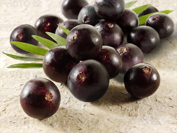 Fresh whole Acai berries (Euterpe oleracea)