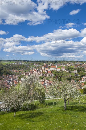 Townscape
