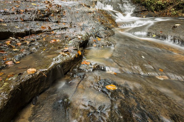 Watercourse of Struempfelbach stream