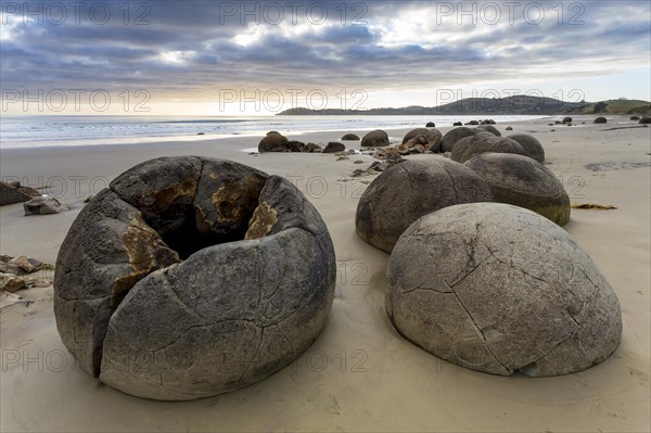 Moeraki Boulders on the beach in the early morning