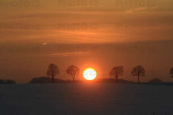Wintry sunset