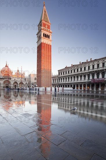 Basilica San Marco