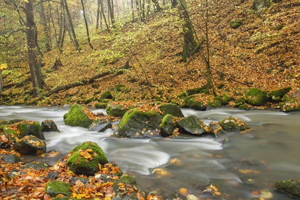 Holzbach stream in the Holzbachschlucht gorge