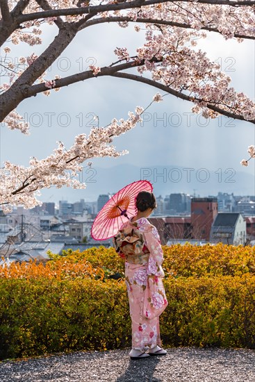 Japanese woman in traditional clothes