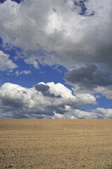 Freshly sown field with cumulus clouds