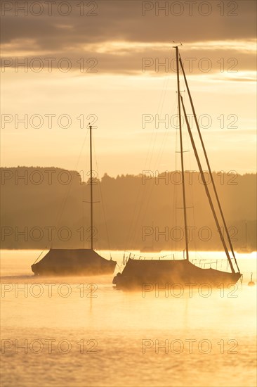 Early morning