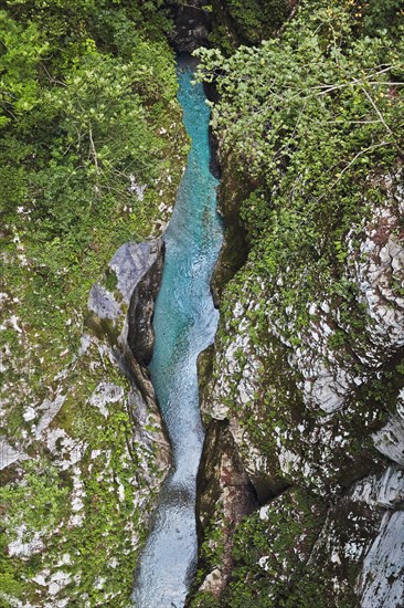 Tolmin Gorge