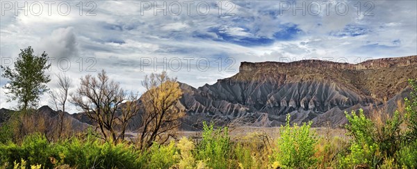 Green fertile valley with the South Caineville Mesa after a thunderstorm