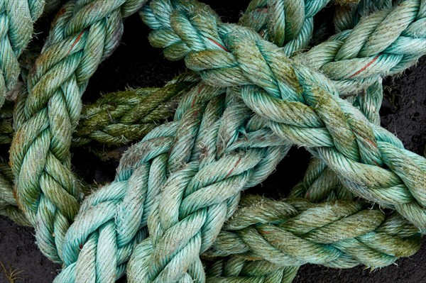 Green rope