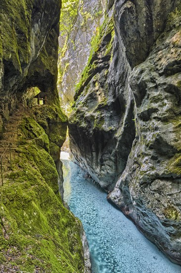 Tolmin Gorge