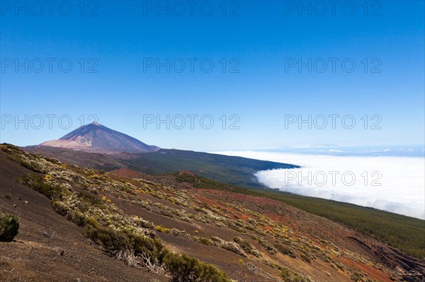 Landscape with vegetation typical of the Parque Nacional de las Canadas del Teide