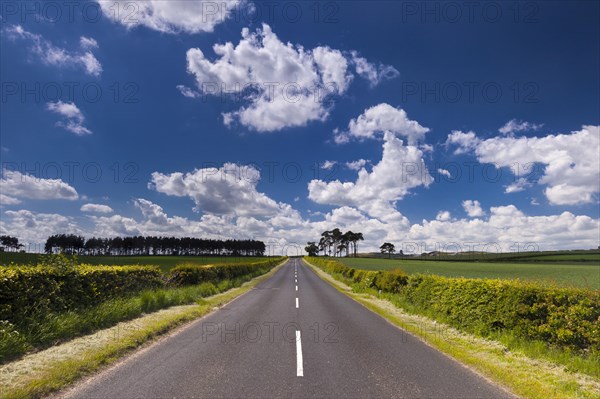 Country road