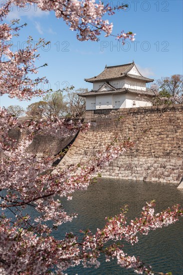 Osaka Castle with moat to the cherry blossom