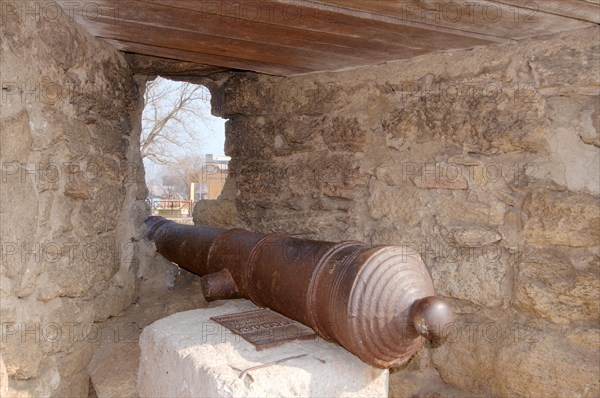 Cannon