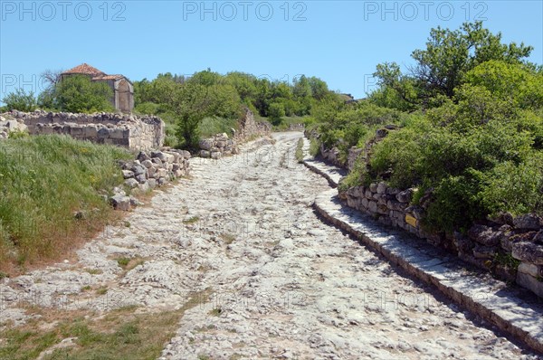 Ruins of the medieval fortress
