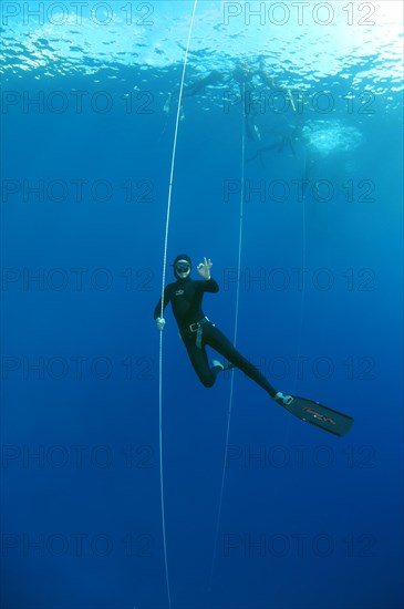 Freediver