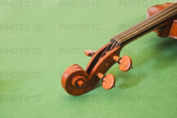 Violin