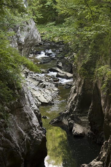 Canyon