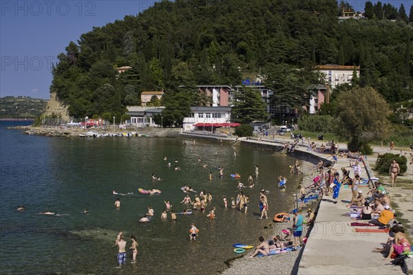 Bay of Fiesa