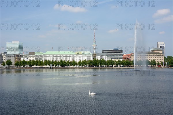 View over the Inner Alster Lake with Alster Fountain and an Alster swan towards the street of Neuer Jungfernstieg