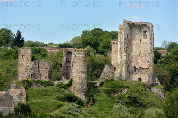 Castle ruins