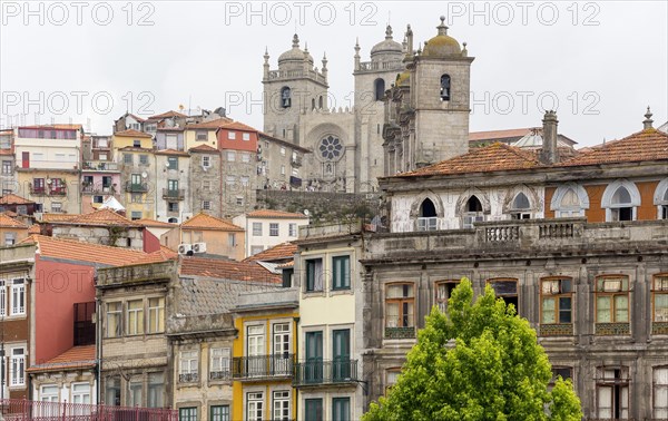 Cathedral of Porto