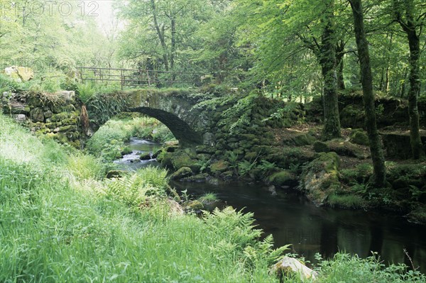 Stone bridge and river