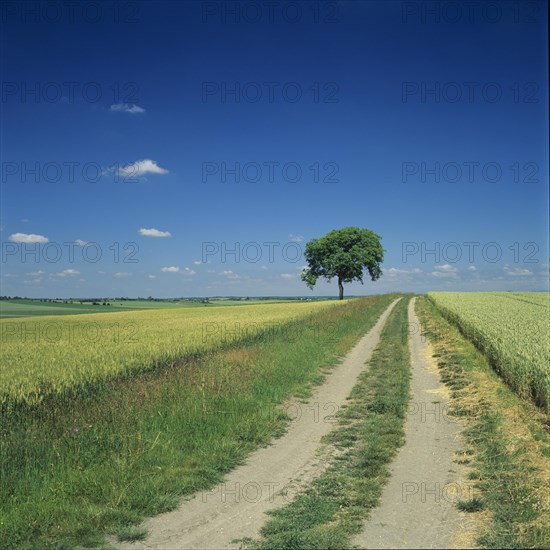 Track through fields
