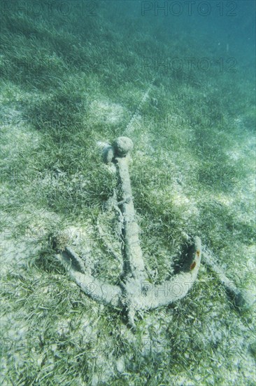 Rusted and overgrown anchor on the seabed