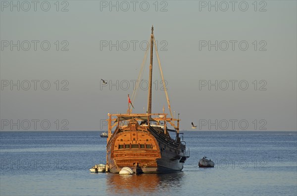 Dhow in the harbor